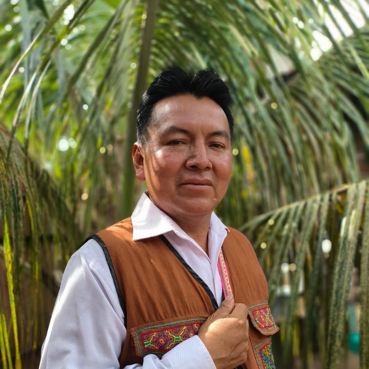 Director de Programa Educación