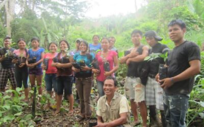 NON NETE promueve la reforestación con cedro y caoba en la comunidad nativa de Canaán de Cachiyacu